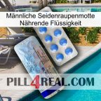 Männliche Seidenraupenmotte Nährende Flüssigkeit 39